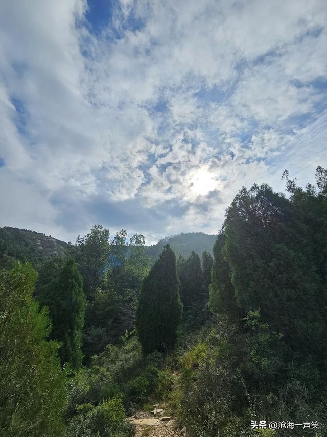 山里有什么，有高山起伏，有连绵大山，有绿树成荫，有台阶连绵
