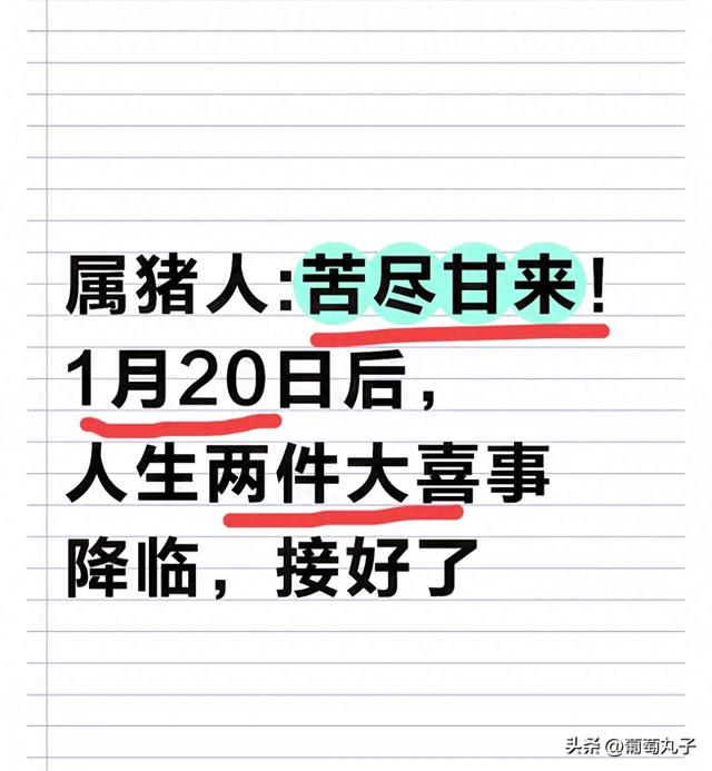 属猪人:苦尽甘来！1月20日后，人生两件大喜事降临	，接好了