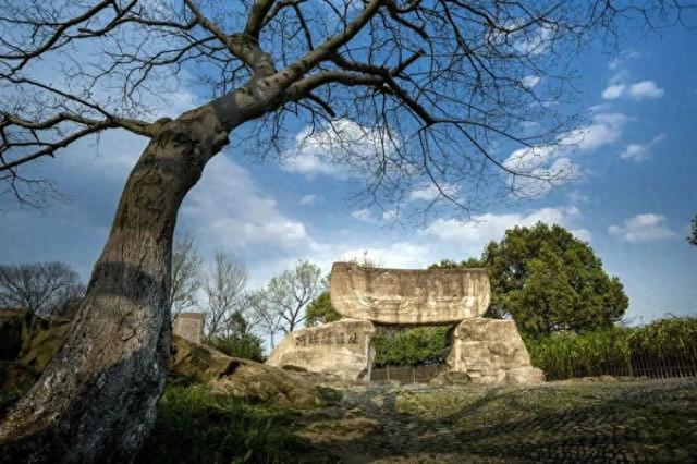 40年和7000年：人文余姚的“凝视”