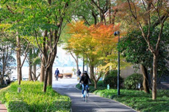 上海市浦东滨江公共空间三道路面进行全面维修