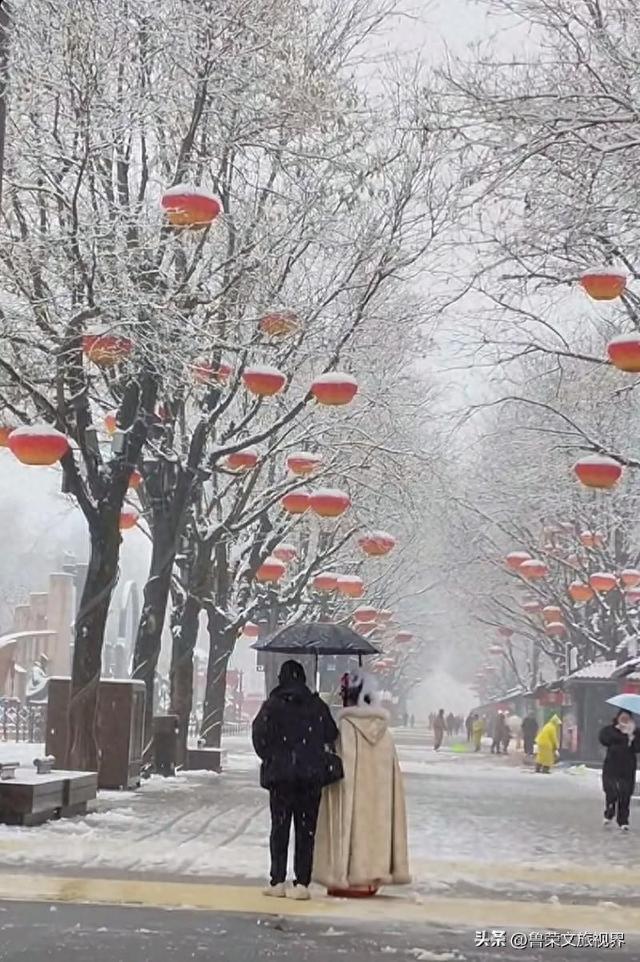 2025第一场雪赴长安：西安变回长安的素白之约