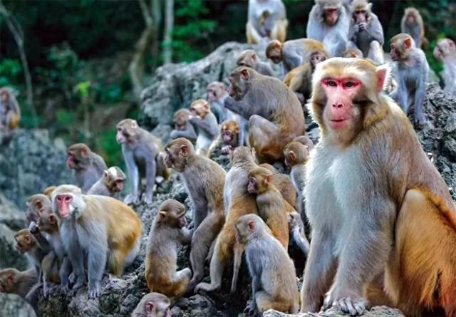 200余项！广西2026年元旦期间文旅优惠活动来啦→