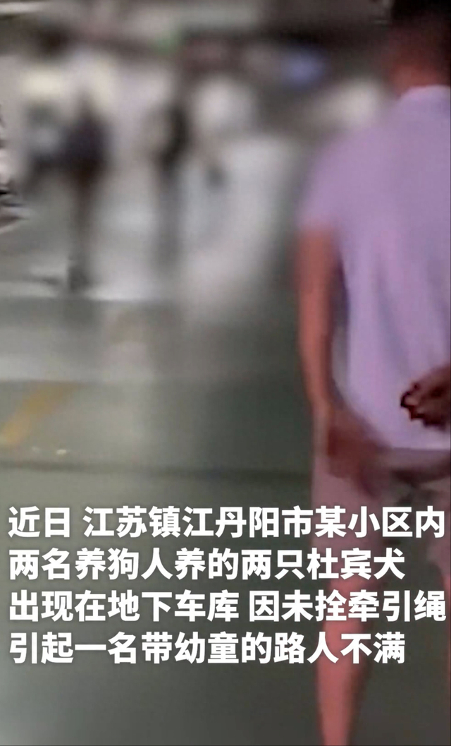 江苏丹阳两条杜宾犬未拴绳引发口角，警方：事件已妥善处理