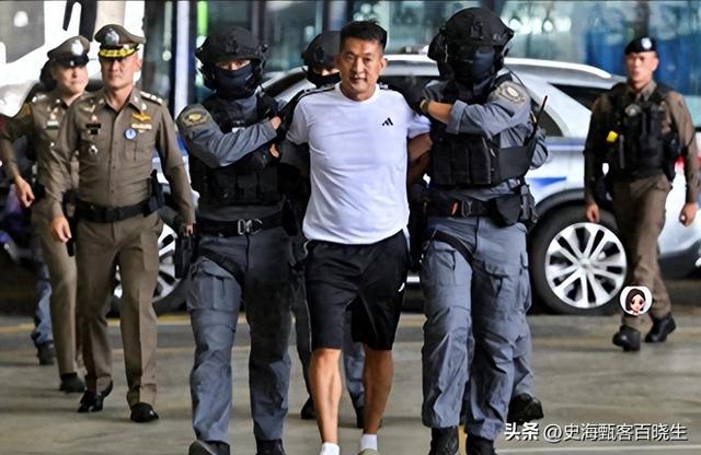 拔出萝卜带出泥！49岁赵薇近况被曝，原来圈内封杀只是冰山一角