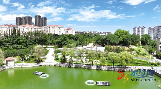 烟台青年水塘游园改造完工 解锁多样休闲乐趣