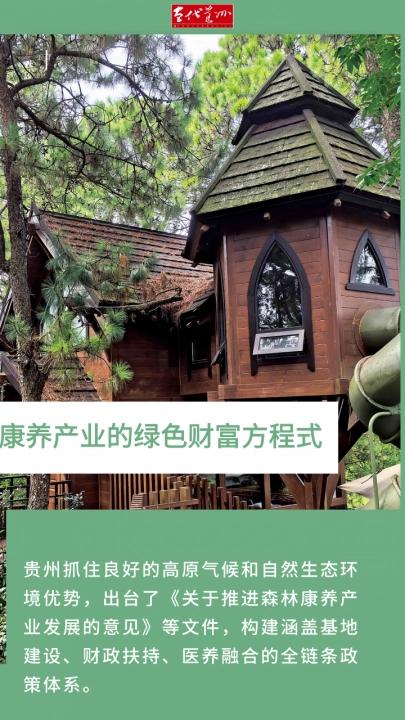 【当代关注·绿富同兴】康养产业的绿色财富方程式