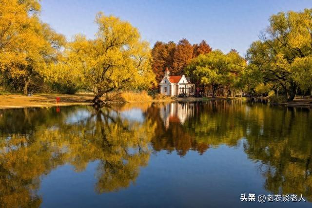 相约秋天：老人“游山”，老玩法新花样，收获不一样的惊喜