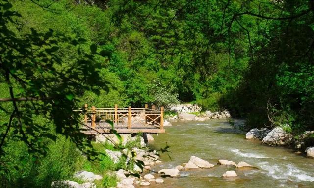 贵清山20℃的清凉秘境，让眼睛与心灵一起深呼吸