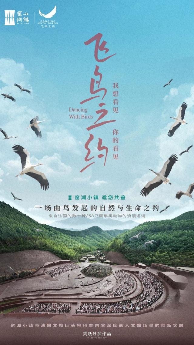 官宣 | 飞鸟之约：一场由鸟发起的自然与生命之约将于江苏宜兴窑湖小镇启幕！