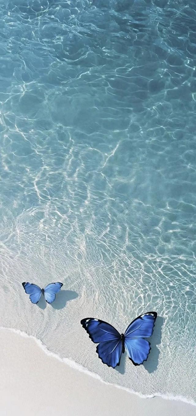 #夏日炎炎有你超甜 #海洋 #人与自然和谐共生