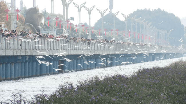 昆明上榜国内机票热门目的地前十