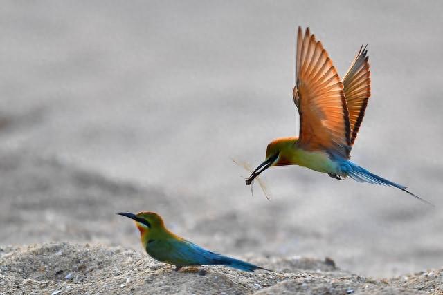 男女之间，一旦做过3件事情，要分开就很难了