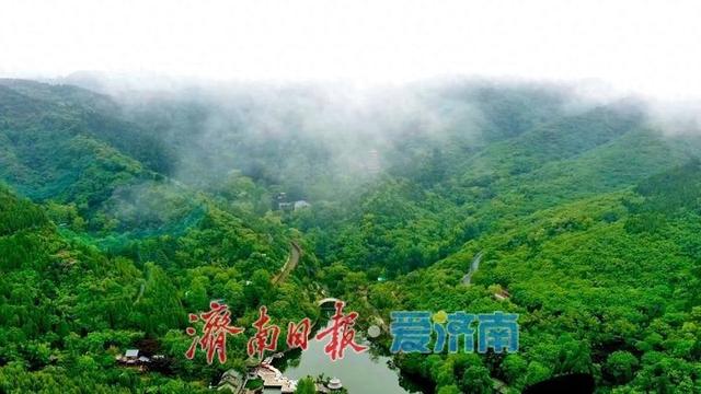 红叶谷景区推出免票福利 百合花海与露营季邀您共赴夏日之约