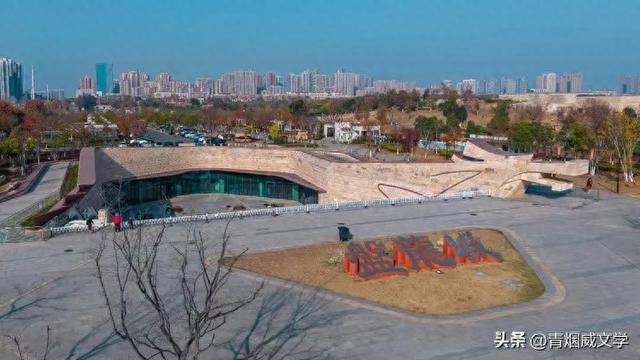 盘龙悠远银杏黄 水中学友情谊长