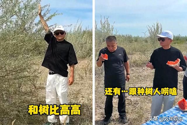 我天，以为蚂蚁森林都是过去式了，没想到马云还在坚持，牛逼。