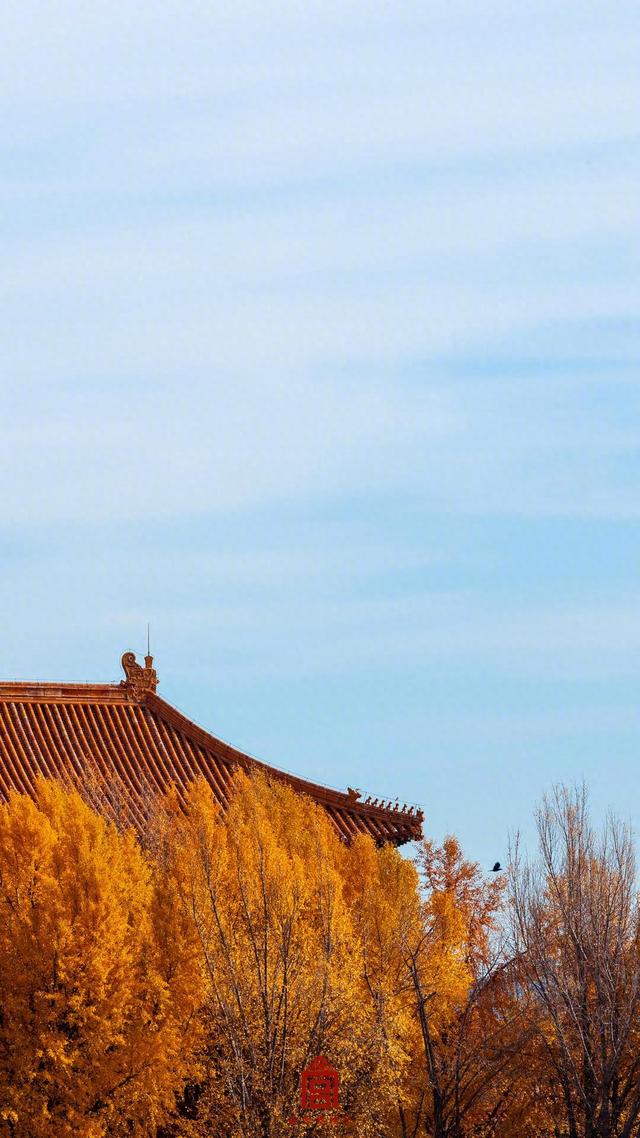 转发收藏！故宫初冬鎏金壁纸上新了