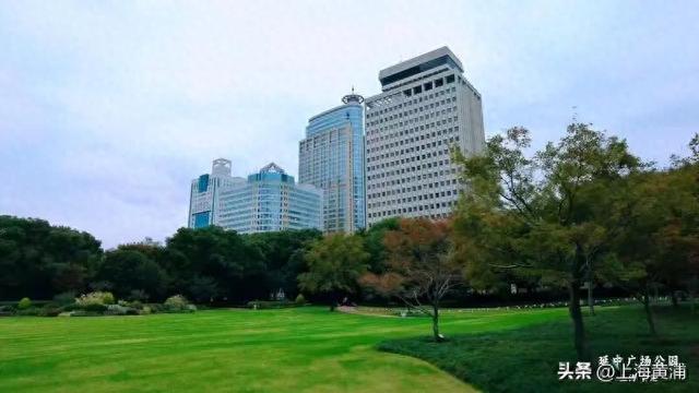 黄浦的秋：色彩与诗意“交响”