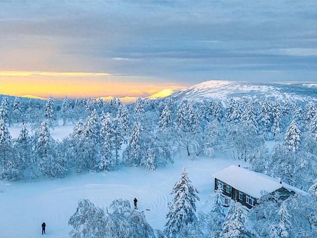 哈尔滨凤凰山冬景即将上线！雾凇林海与雪地运动共绘冰雪秘境