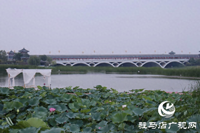 印象练江湖熙汐水岸主题乐园开业 解锁“城市微度假”新体验