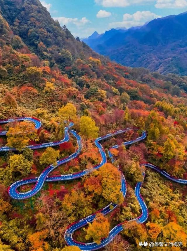 光雾山秋记：在川东北的群山间，邂逅一场红叶的狂欢