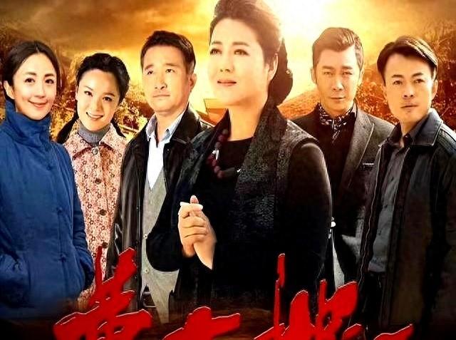 农村催泪电视剧有哪些（这5部农村苦情剧）
