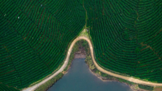 探索“西湖B面”只需一分钱 杭州西湖区文旅探索卡正式发售