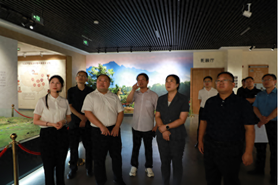 岱岳区：大汶口与南旺枢纽“联姻”：跨区域合作，激活文旅“一池春水”