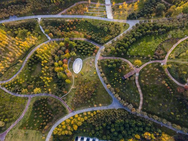 郑州“满城彩”的秋色，即将被“雨打风吹去”