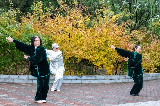 呼和浩特强势上榜携程与大众点评热门榜单 稳居“中国必打卡目的地”之列