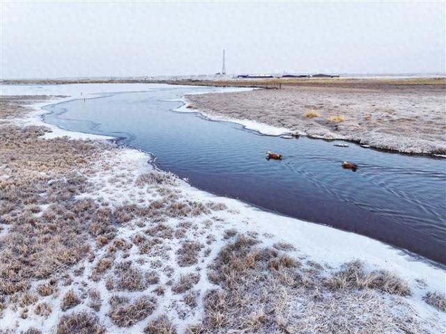 阿克塞：哈尔腾之冬