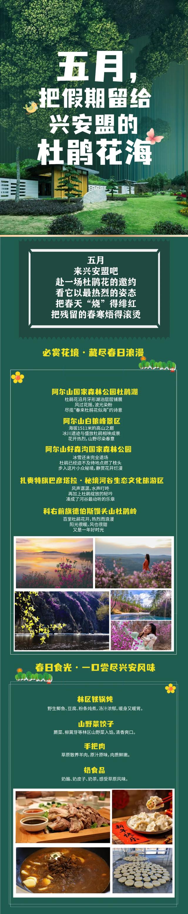 五月，把假期留给兴安盟的杜鹃花海