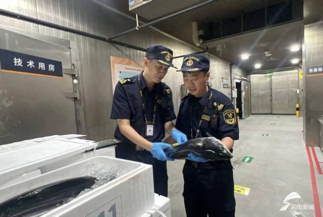 22吨挪威冰鲜三文鱼速达泉城 让世界美味零时差