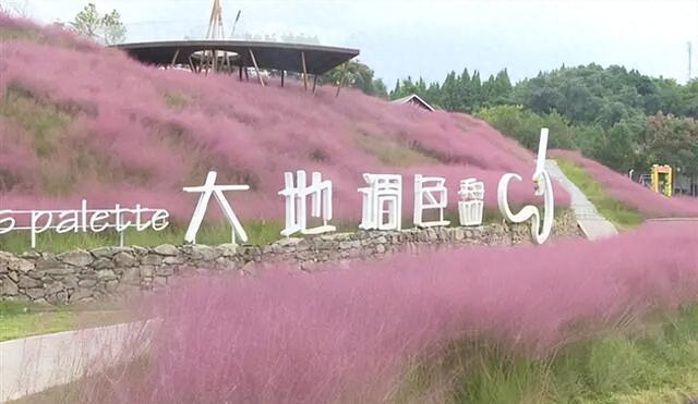 喊搭子！垫江这片粉黛海美到尖叫，国庆拍美照还能看吐火演出～