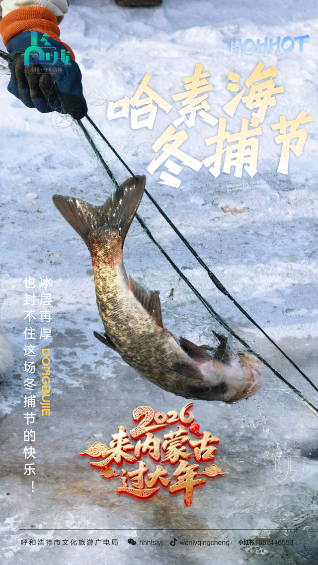 别问冷不冷，就问明天10点哈素海你到不到！冬捕、温泉、美食这里全！都！有！
