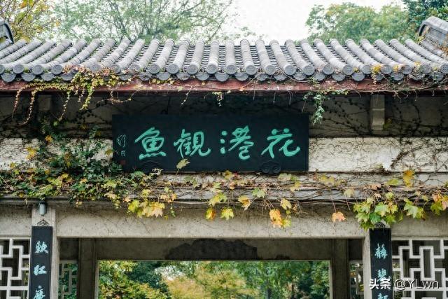 西湖十景花港观鱼攻略