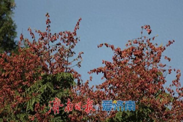 秋色不等人 速来解锁公园景区的N种玩法！