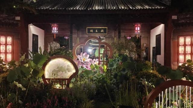 好仙！夜游钱王祠上线，也许能偶遇上“夜班”的傲娇睡莲