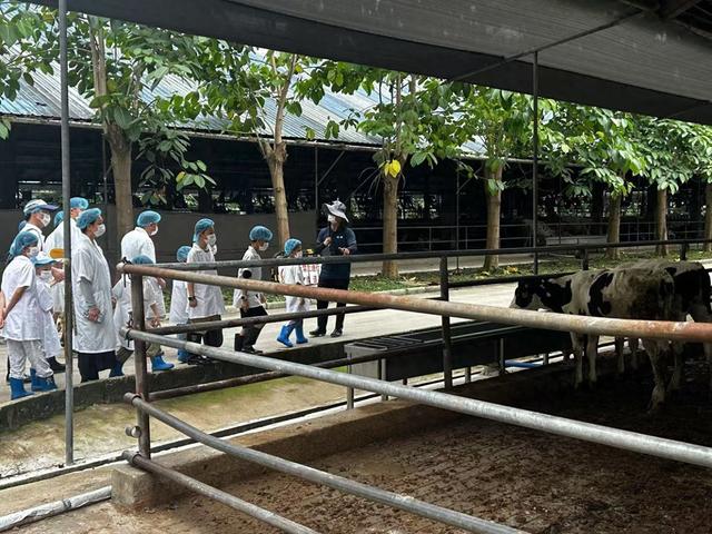 暑假“工厂游”火爆出圈，“工厂游”为何会成为文旅新宠？