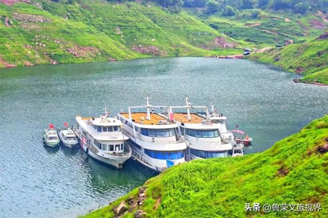 黄河奔涌处，古都盛世行——这场洛阳奢华盛宴藏着千年文明的回响