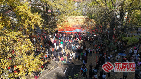 三明大田举办银杏孝文化节活动