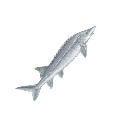 2025年11月4日 第27页