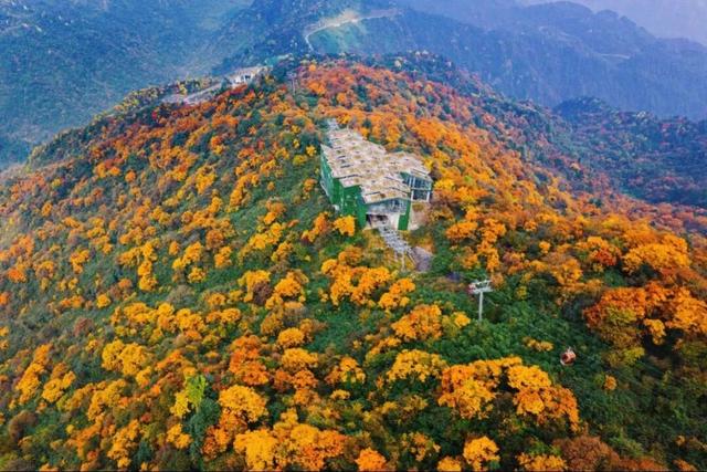 免票！四川多个景区官宣