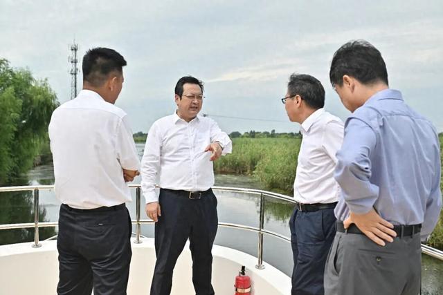 张国华调研雄安新区白洋淀旅游工作