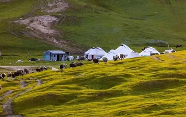 中国旅行社协会发布旅行服务业ESG信息披露团体标准