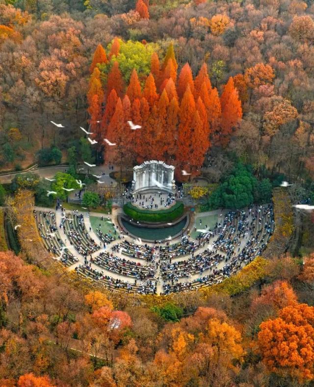 报！已达颜值巅峰！