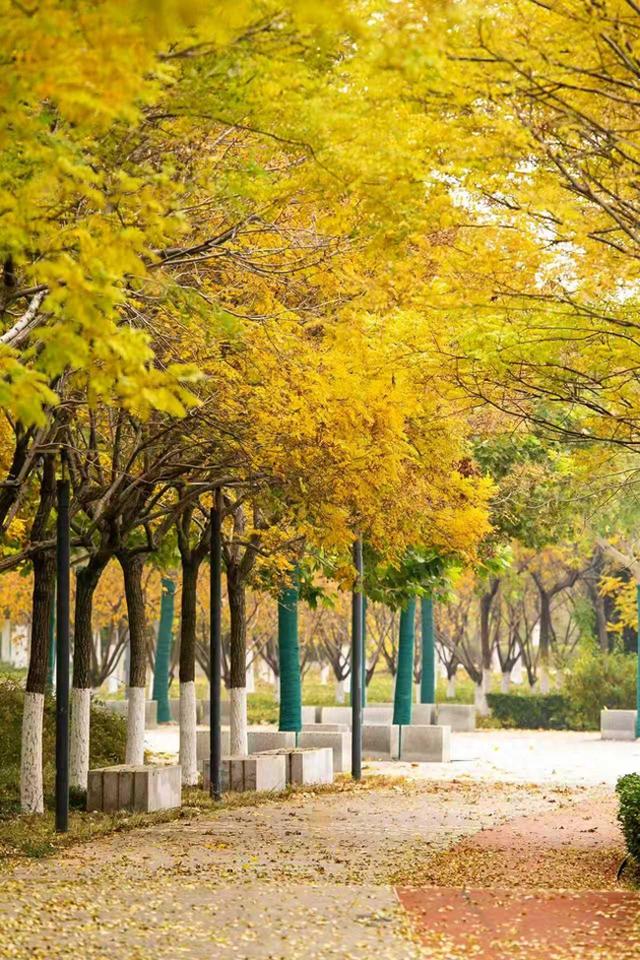 秋高气爽赏滨城丨一场深秋的诗意邂逅