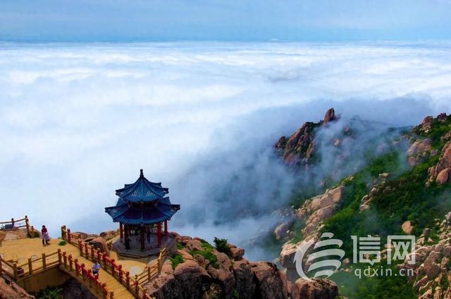 青岛推多条中医药康养旅游线路 邀您开启秋日疗愈之旅