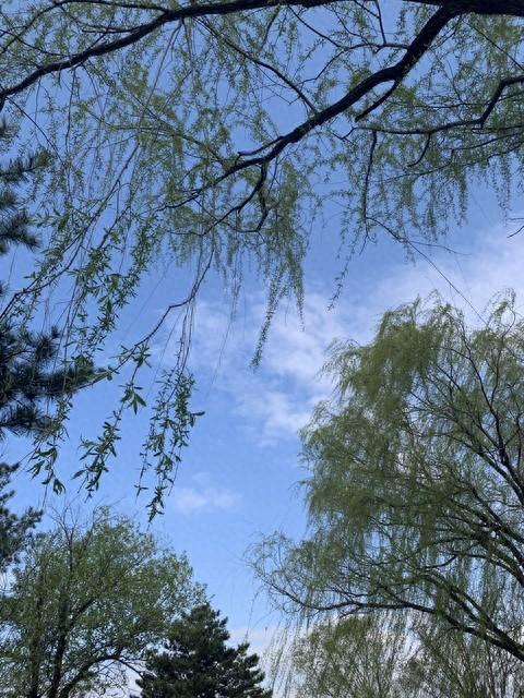 我54岁，突然发现中年男人惜命的最好方式，不是吃喝是做好四件事