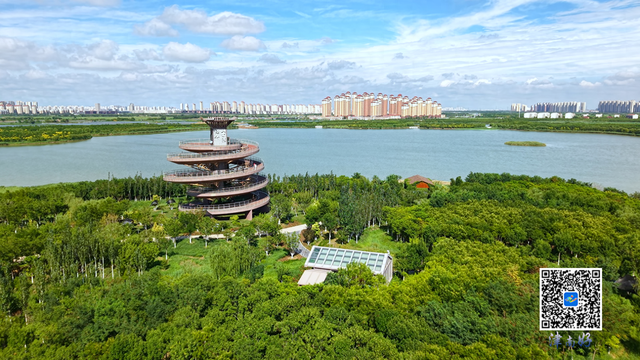 津南美景欣赏∣当微风吹过绿屏·八里湾，这里没有语言，只有森林的呼吸……