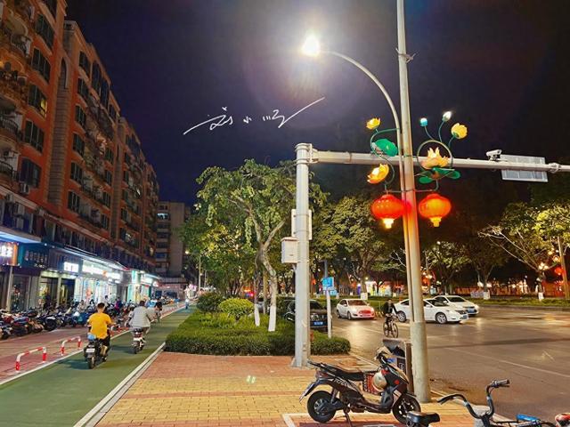 佛山“最偏远”郊区：藏在荷香里的低调小城，连路灯都开满荷花？